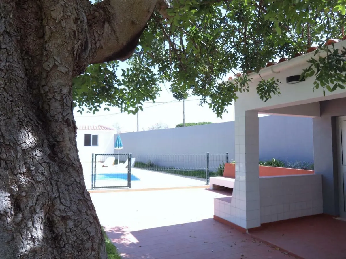 Casa Do Corgo Em Quarteira Villa 0*,